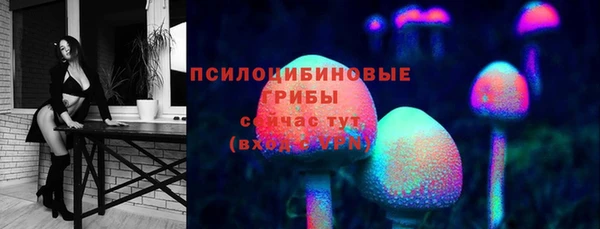 герыч Алексин