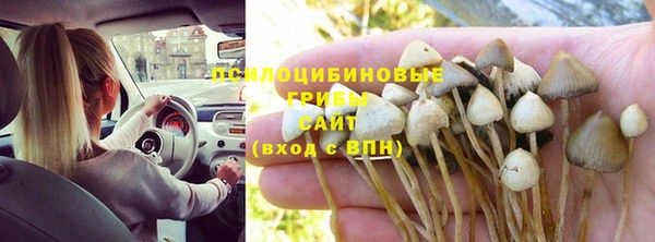герыч Алексин